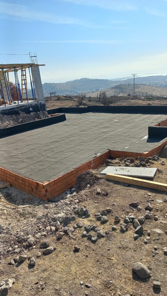 1000040823 1000040823