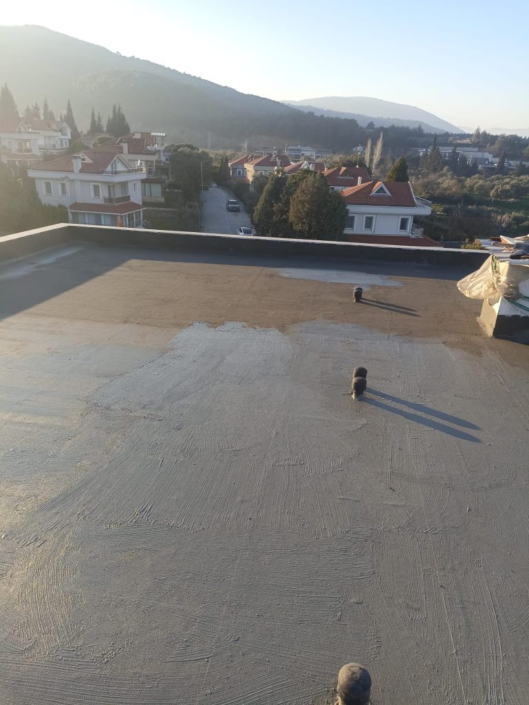 1000060477 1000060477